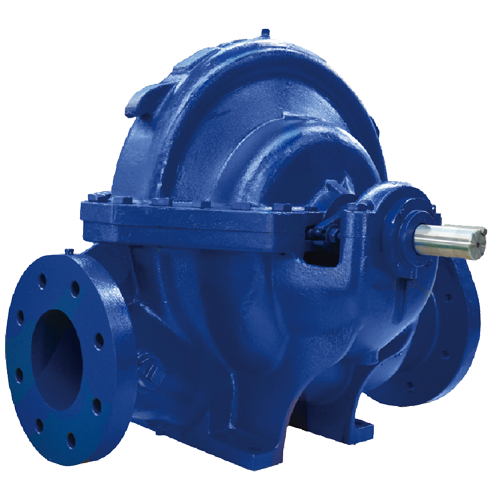 202006101005201083219392