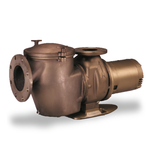 2021120910533781832950